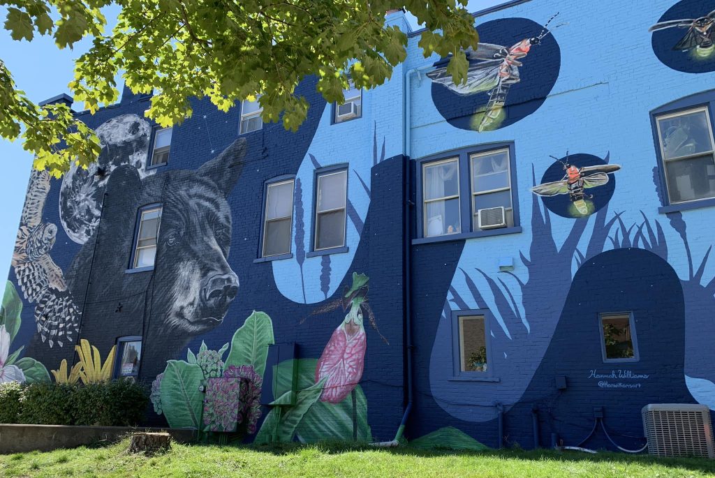 Mural in Glens Falls by Hannah Williams